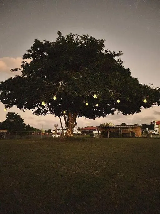 Villa Tribeka House Islote Puerto Rico